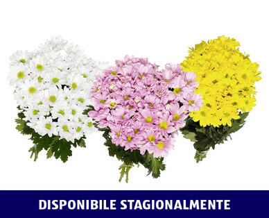 MAZZO DI CRISANTEMI
