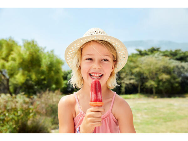 Ice Lolly / Ice Cream Moulds
