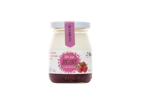 JIHOČESKÝ JOGURT OCHUCENÝ