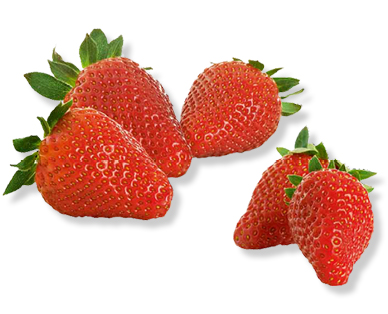 Fragole