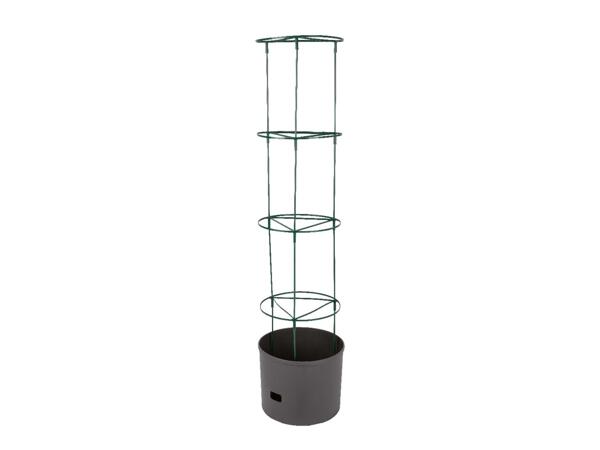 Tomato Planter