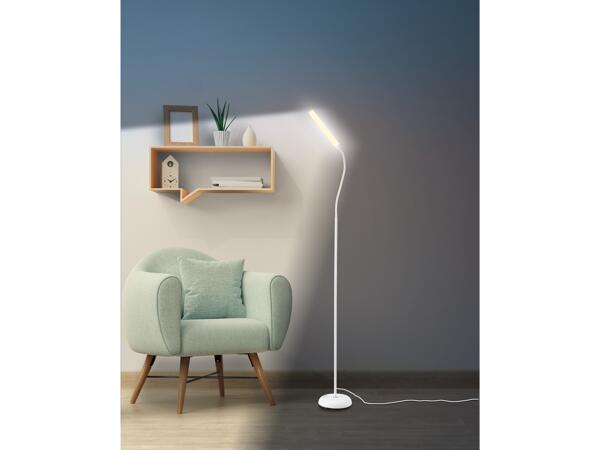 LED Floor Lamp