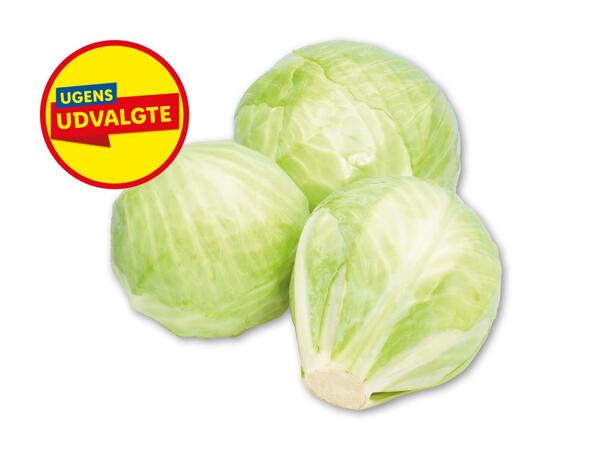 Dansk hvidkål