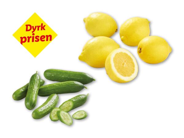 Skoleagurker eller citroner