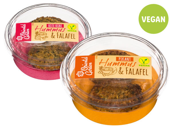 Hummus & Falafel