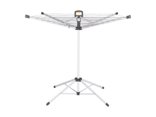 Standwäschespinne