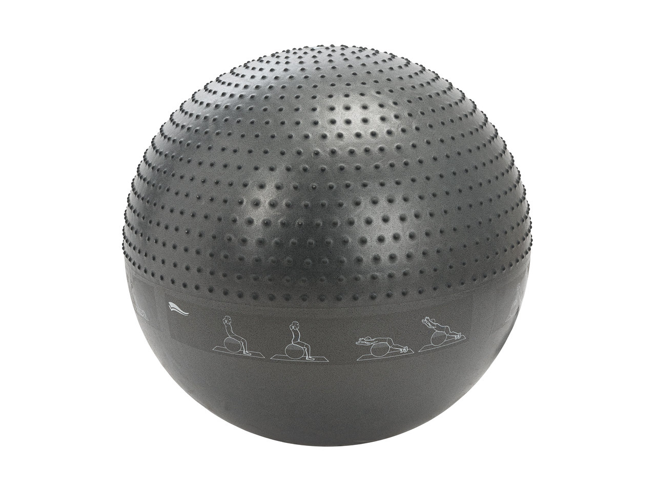 Crivit Exercise Ball1