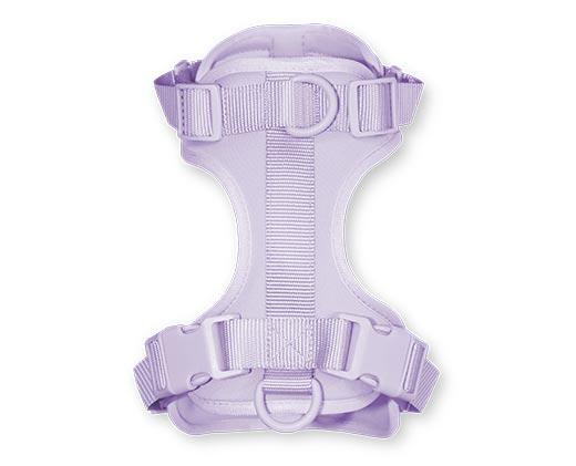 Heart to Tail Dog Harness or Leash