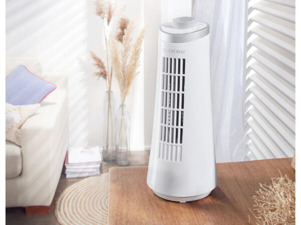 Mini Tower Fan