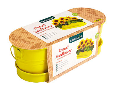 Windowsill Garden Kit