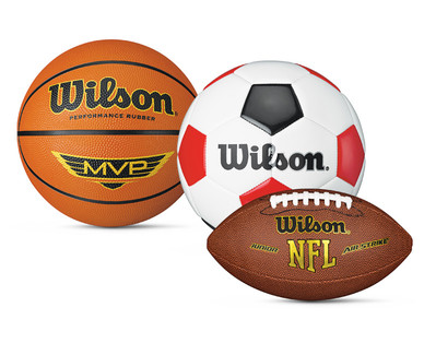 Wilson Sports Ball