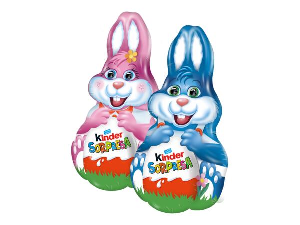 Chocolate easter bunny