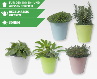 Gewürz-Mix im farbigen Zinktopf