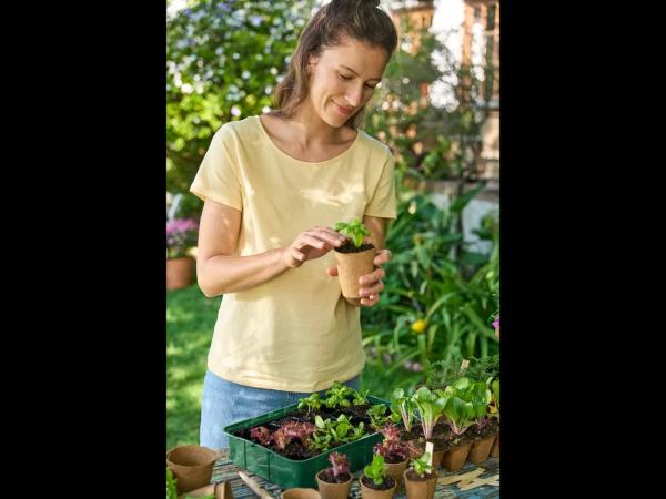 Propagator set