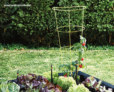 Tomato Cage
