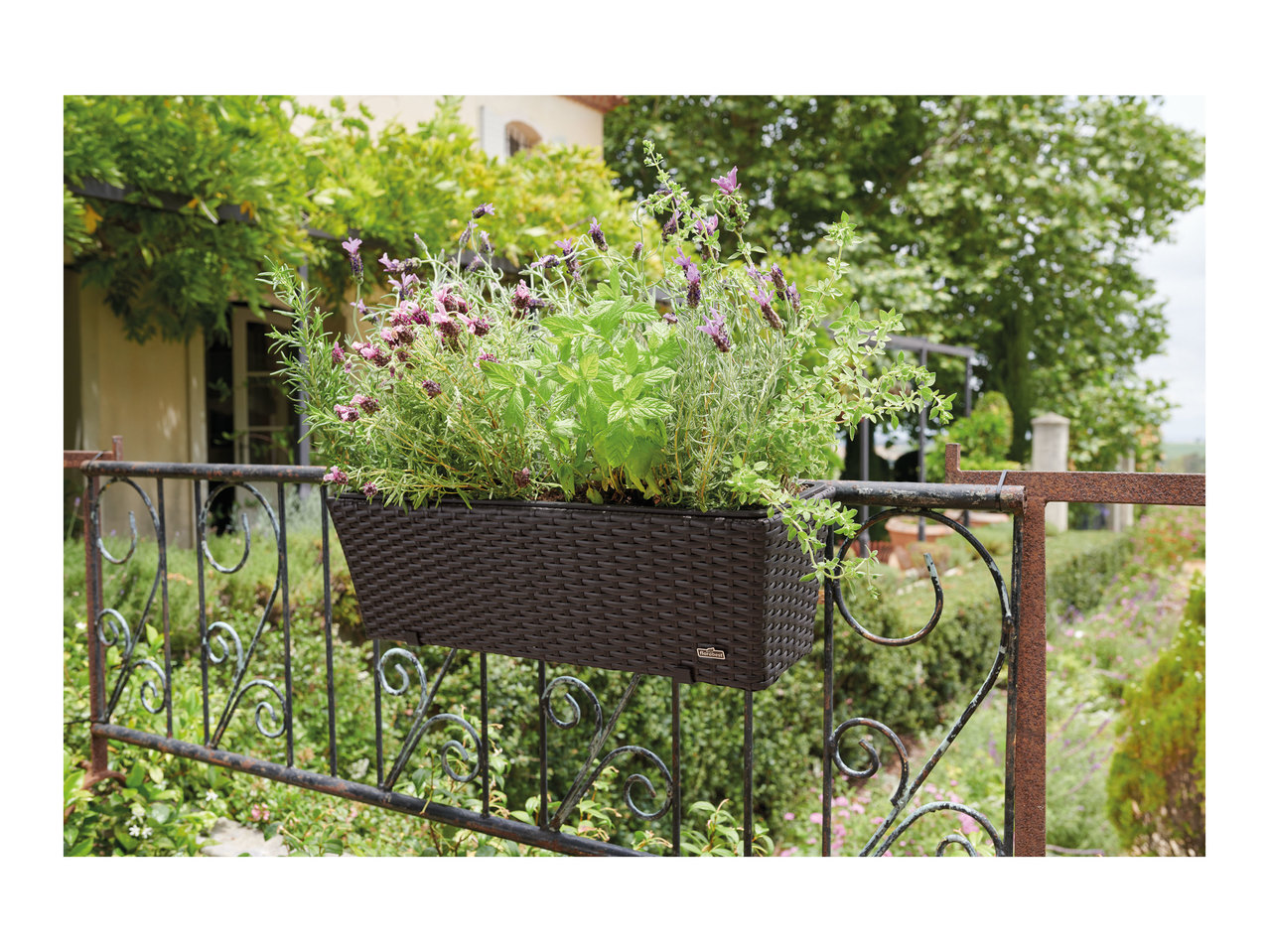 Florabest Wicker Balcony Flower Box1