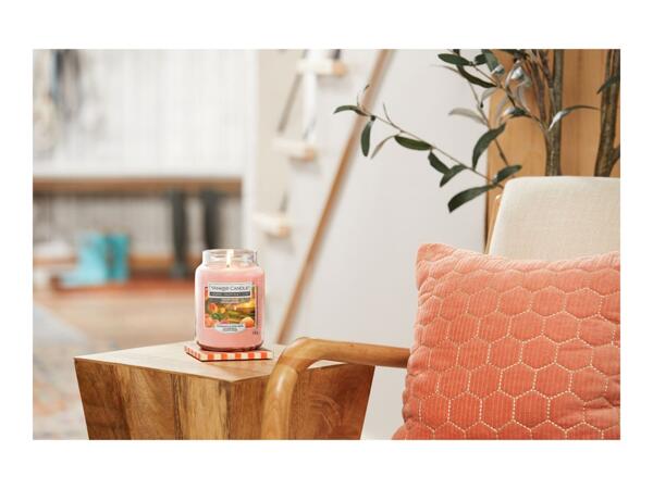 Yankee Candle Golden Peach Scented Candle