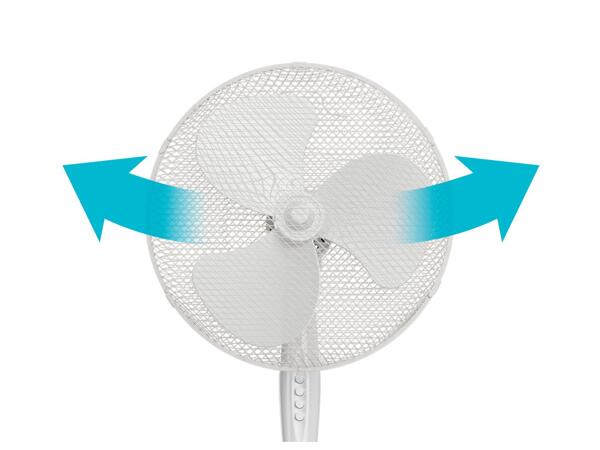 Pedestal Fan