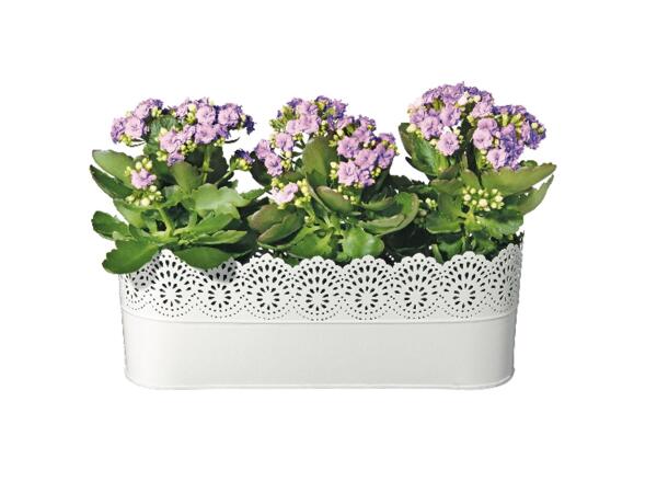 Planter
