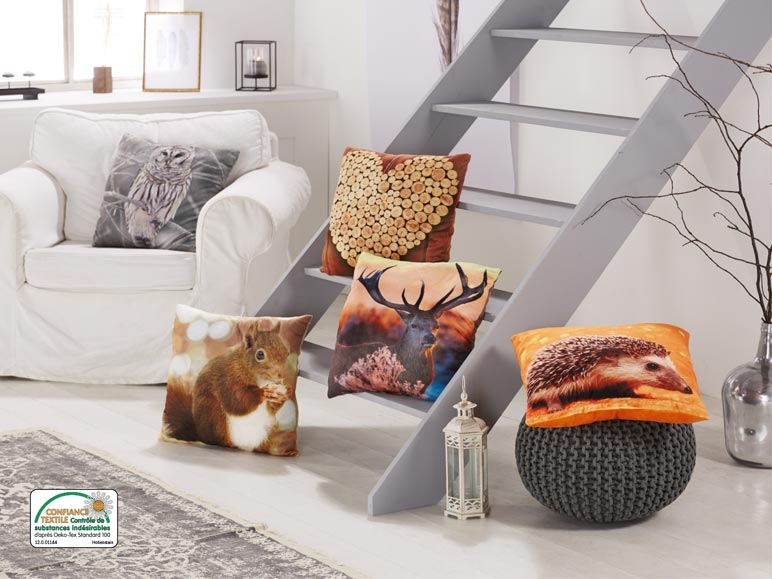 Coussin décoratif