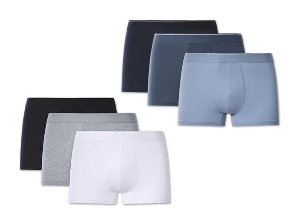Herren Boxer, 3 Stück