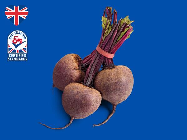 British Bunched Beetroot