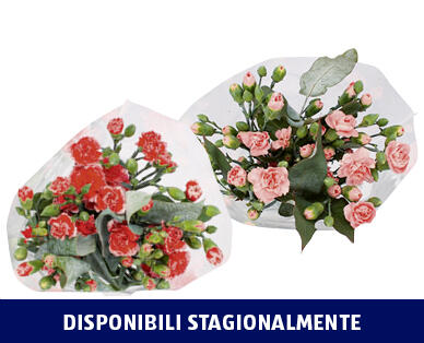 BOUQUET DI GAROFANI A FIORE MULTIPLO