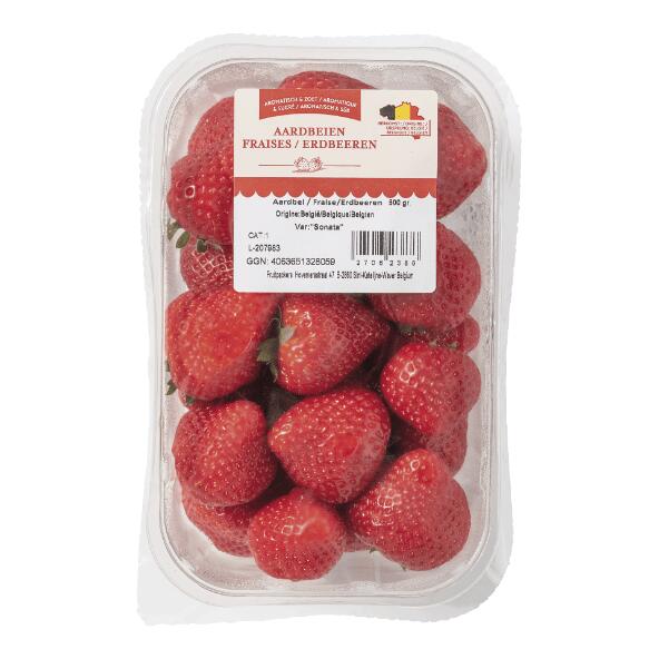 Erdbeeren
