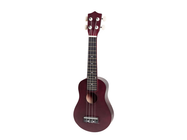 SOPRANO RECORDER/UKULELE SET