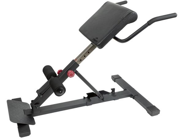 Multi Trainer