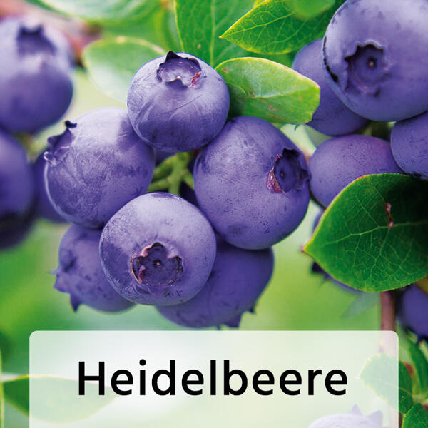 Beerengarten