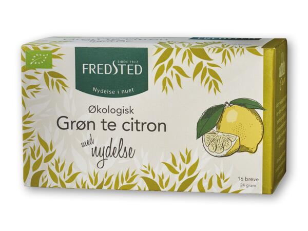 FREDSTED Te