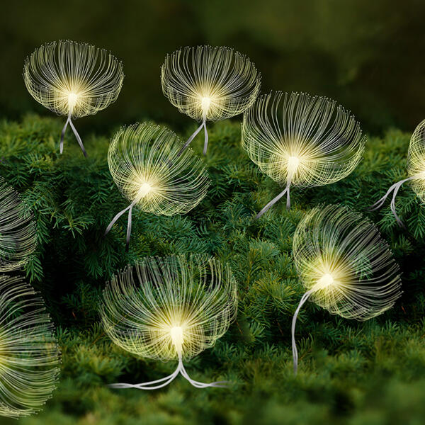 Solar-Lichterkette "Dandelion" 10er
