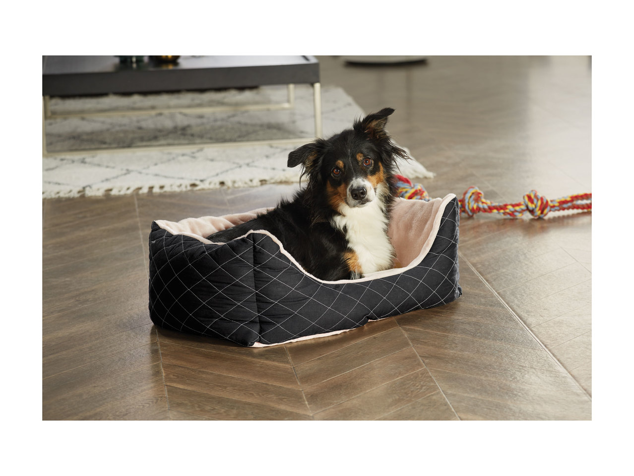 Zoofari Dog Bed1