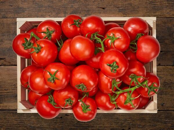 Tomates en grappe