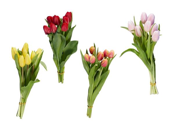Tulipes