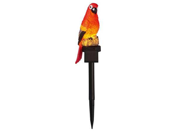 Decorative solar light