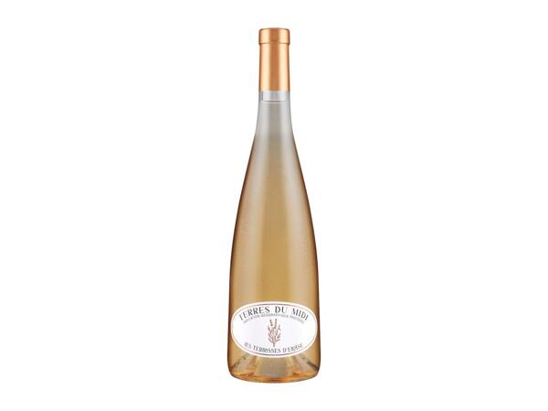 Terres du Midi Wine