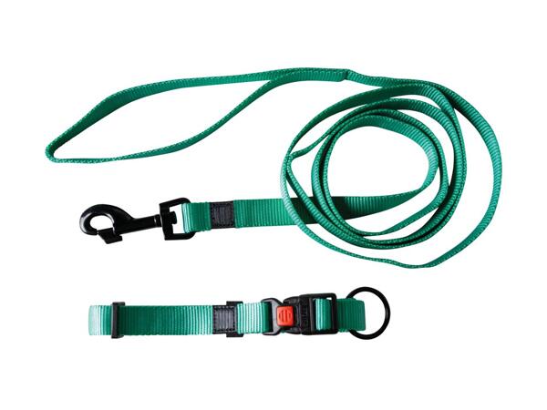 KARLIE(R) Hundehalsbånd og line
