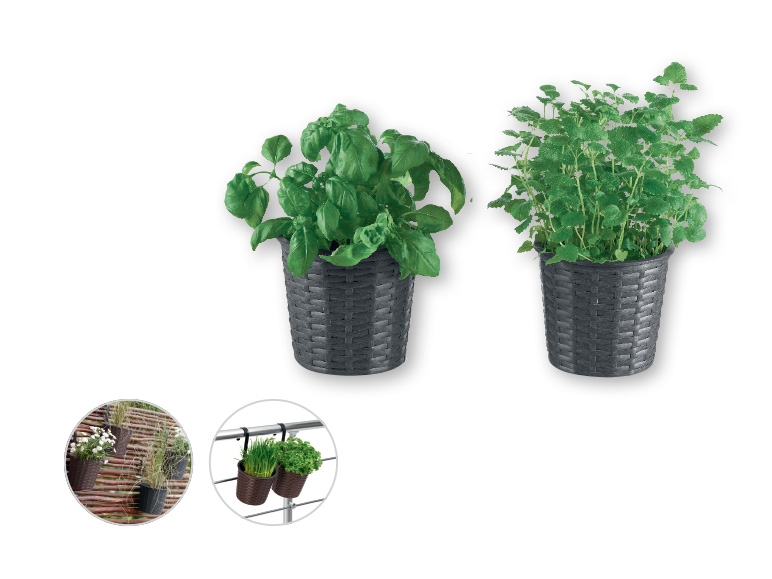 FLORABEST Hanging Balcony Planters