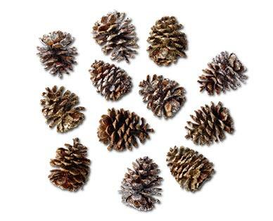 Huntington Home
Holiday Pine Cones