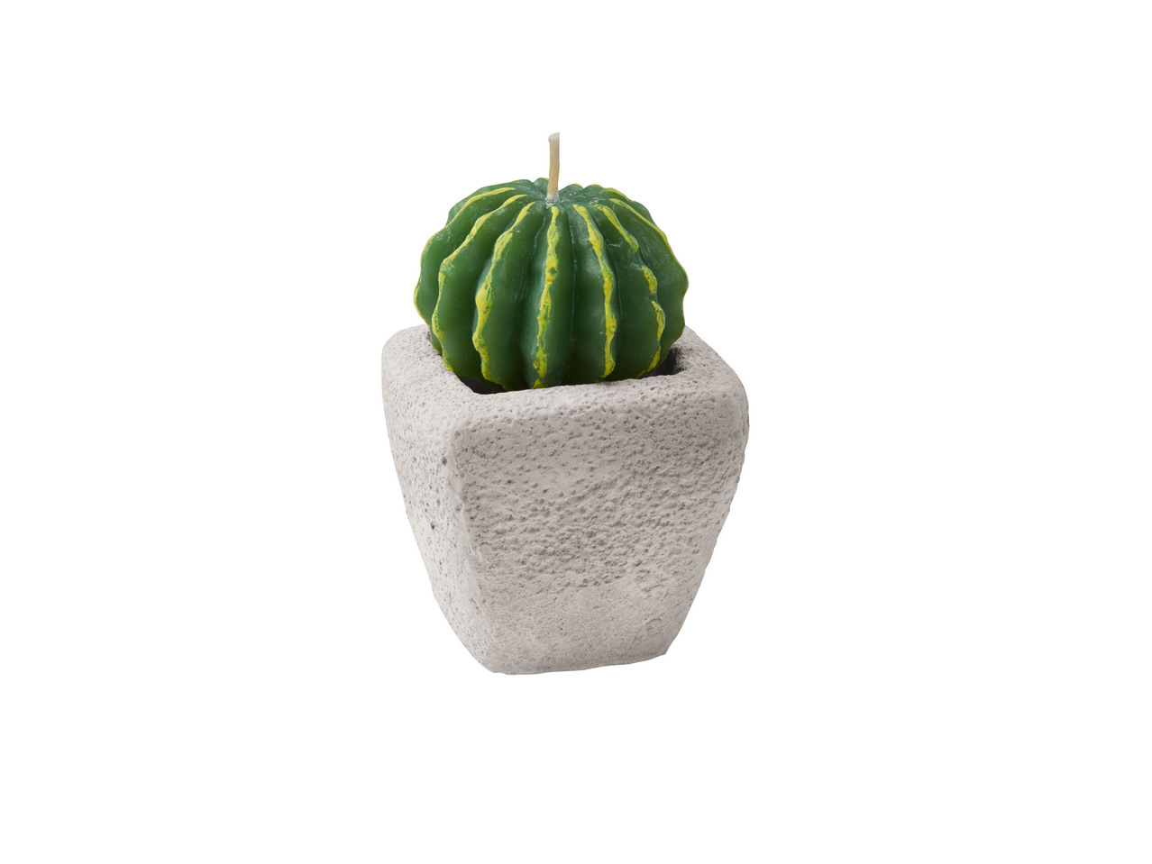 Cactus Candle with Pot