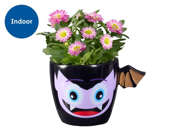 Mini Halloween Planter
