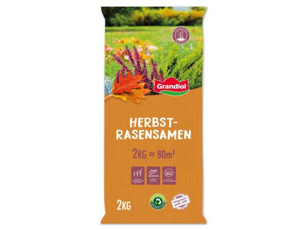 Herbstrasensamen