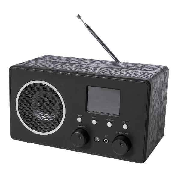 ENVIVO(R) Radio DAB+/FM