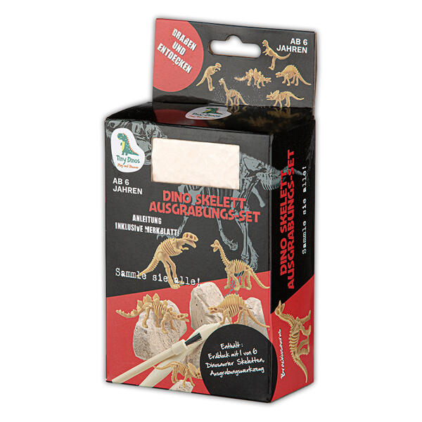 Dinosaurier-Ausgrabungs-Set