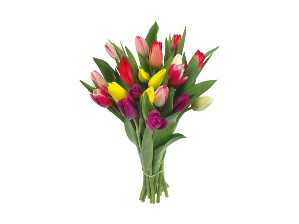 Tulipanbuket