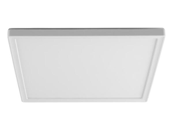 LIVARNO home Stropní LED svítidlo s pohybovým senzorem