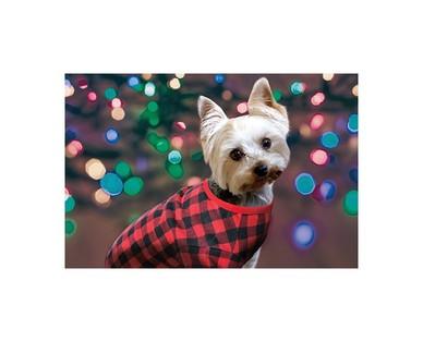 Heart to Tail Pet Pajamas