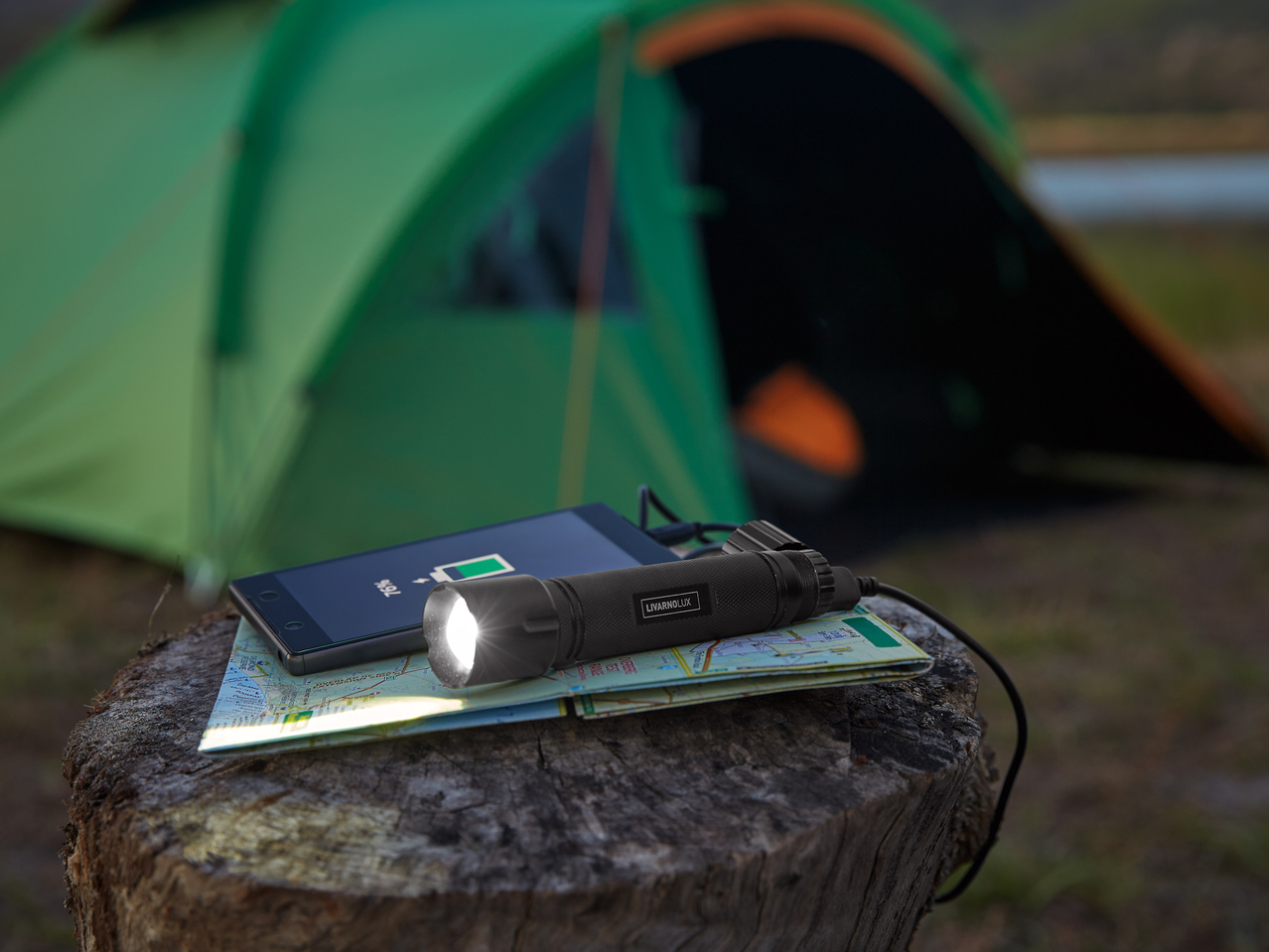 LED Torch with Power Bank